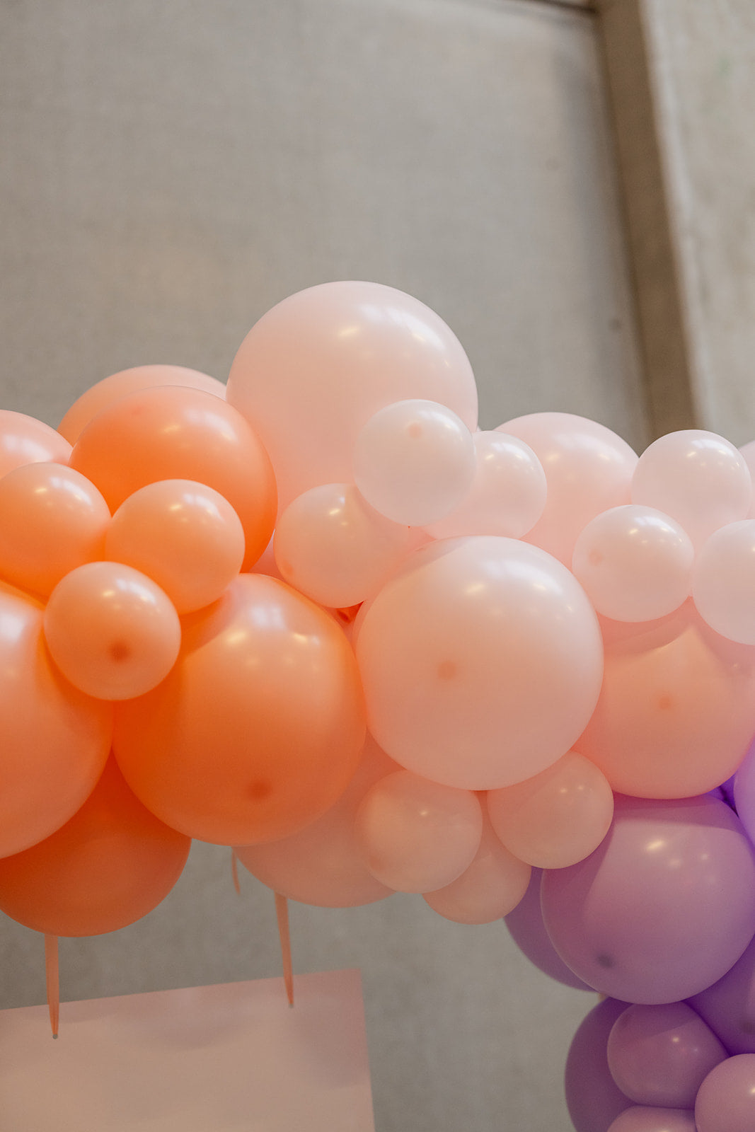 Ballonboog met statief en welkomstbord (excl droogbloemen)