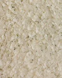 detail backdrop witte bloemen