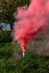 Gender reveal rookbommen - roze (5st)